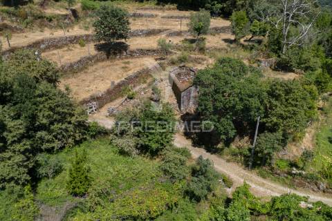Terreno urbano- cibões & brufe