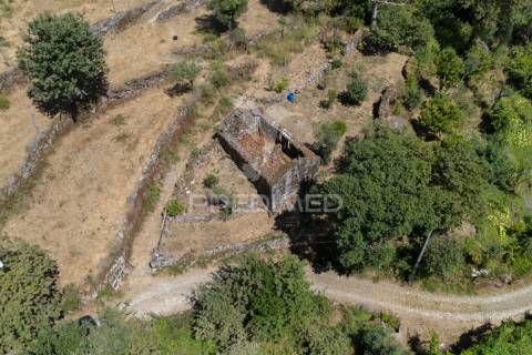 Terreno urbano- cibões & brufe