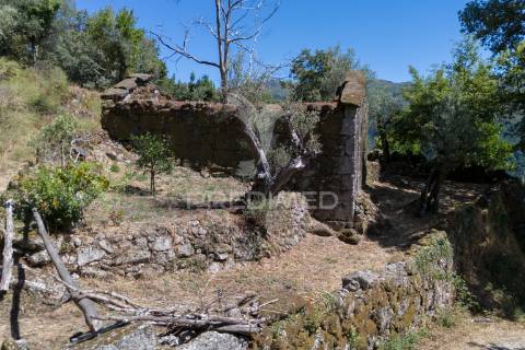 Terreno urbano- cibões & brufe