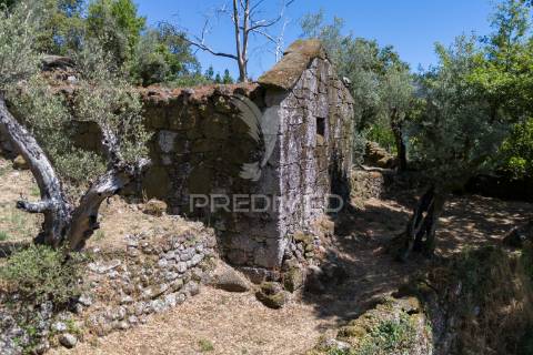 Terreno urbano- cibões & brufe