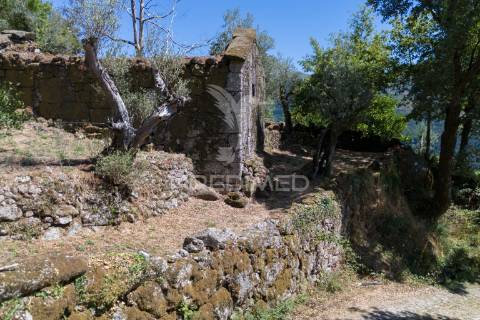 Terreno urbano- cibões & brufe