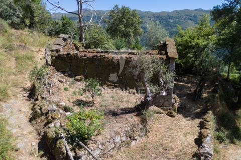 Terreno urbano- cibões & brufe