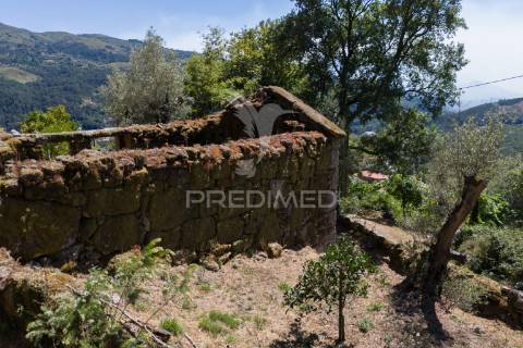 Terreno urbano- cibões & brufe