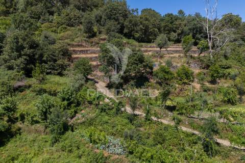 Terreno urbano- cibões & brufe