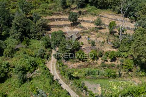 Terreno urbano- cibões & brufe