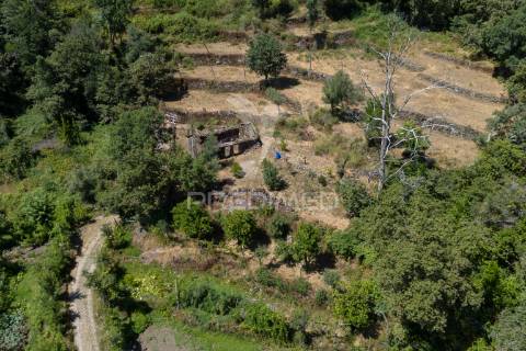 Terreno urbano- cibões & brufe