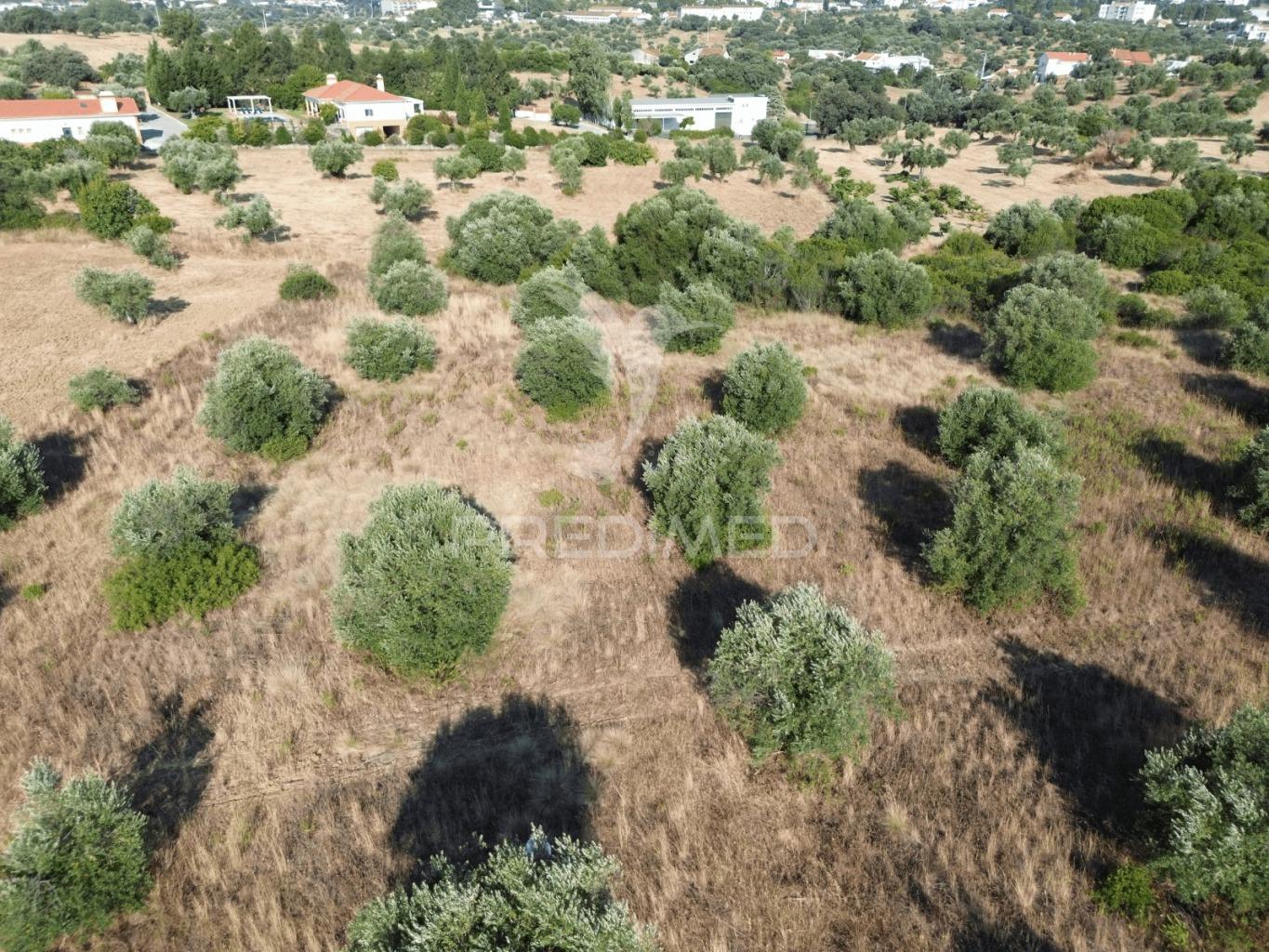 Terreno rústico com 3.340 m² – troviscal, alcanena