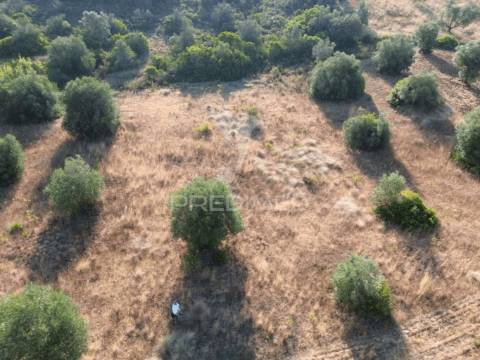 Terreno rústico com 3.340 m² – troviscal, alcanena