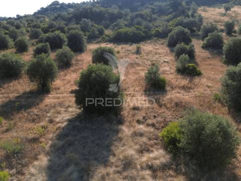 Terreno rústico com 3.340 m² – troviscal, alcanena