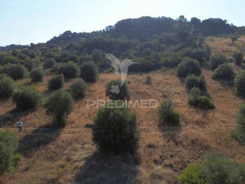 Terreno rústico com 3.340 m² – troviscal, alcanena