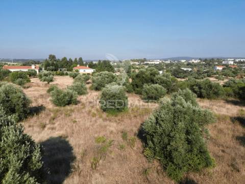 Terreno rústico com 3.340 m² – troviscal, alcanena