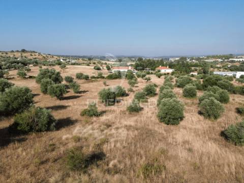 Terreno rústico com 3.340 m² – troviscal, alcanena