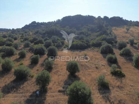 Terreno rústico com 3.340 m² – troviscal, alcanena