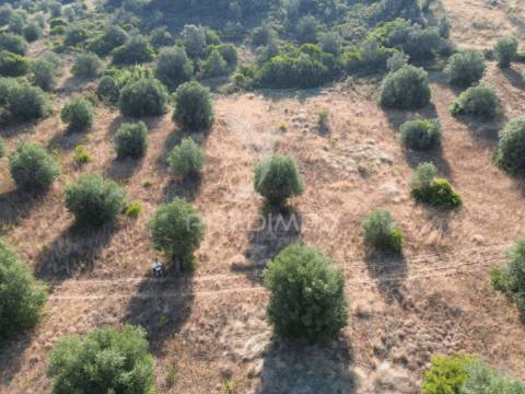 Terreno rústico com 3.340 m² – troviscal, alcanena