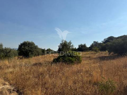 Terreno rústico com 3.340 m² – troviscal, alcanena