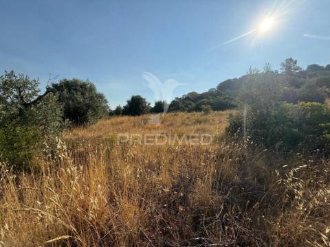 Terreno rústico com 3.340 m² – troviscal, alcanena