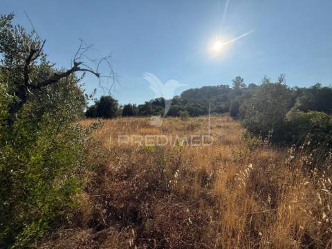 Terreno rústico com 3.340 m² – troviscal, alcanena