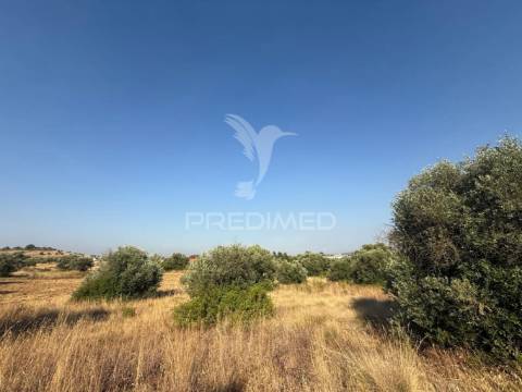 Terreno rústico com 3.340 m² – troviscal, alcanena