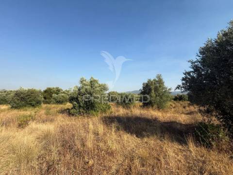 Terreno rústico com 3.340 m² – troviscal, alcanena