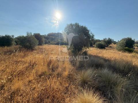 Terreno rústico com 3.340 m² – troviscal, alcanena