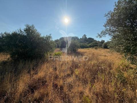 Terreno rústico com 3.340 m² – troviscal, alcanena