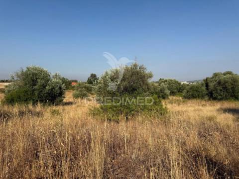 Terreno rústico com 3.340 m² – troviscal, alcanena