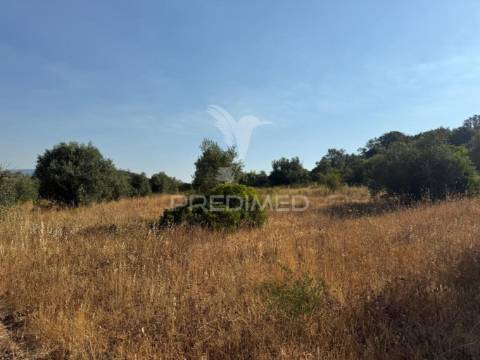 Terreno rústico com 3.340 m² – troviscal, alcanena