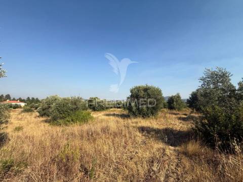 Terreno rústico com 3.340 m² – troviscal, alcanena