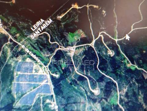 Terreno rústico em minde alcanena zona de ventoinhas