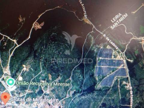 Terreno rústico em minde alcanena zona de ventoinhas