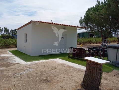 Quinta t1  área  12400 m2 a 4 km almeirim e 50 minutos de lisboa