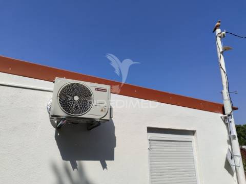 Quinta t1  área  12400 m2 a 4 km almeirim e 50 minutos de lisboa