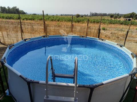 Quinta t1  área  12400 m2 a 4 km almeirim e 50 minutos de lisboa