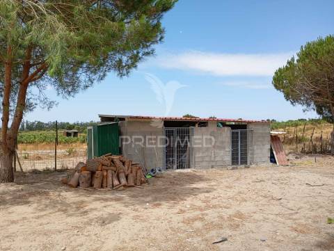 Quinta t1  área  12400 m2 a 4 km almeirim e 50 minutos de lisboa