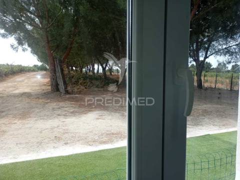 Quinta t1  área  12400 m2 a 4 km almeirim e 50 minutos de lisboa