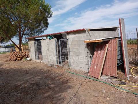 Quinta t1  área  12400 m2 a 4 km almeirim e 50 minutos de lisboa