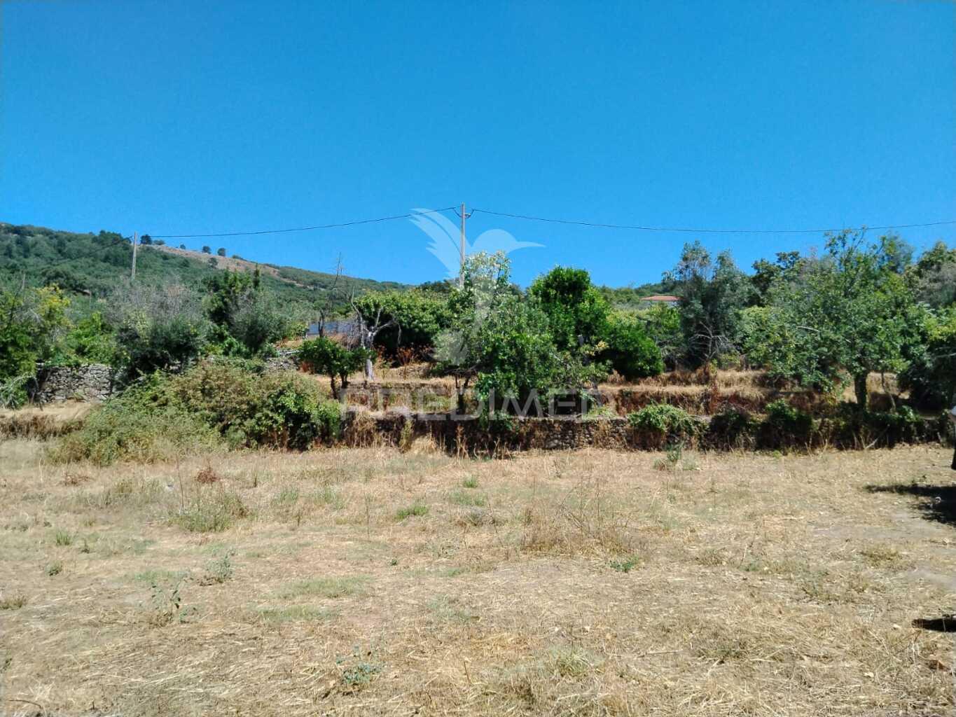 Terreno