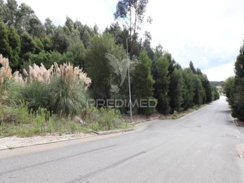 Terreno com 1.000m² edificáveis – ideal para 3 moradias em são pedro da cova