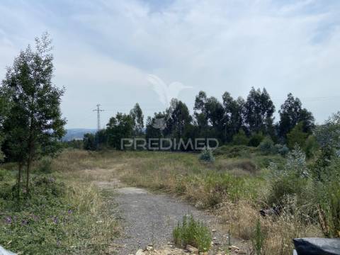 Terreno com 1.000m² edificáveis – ideal para 3 moradias em são pedro da cova