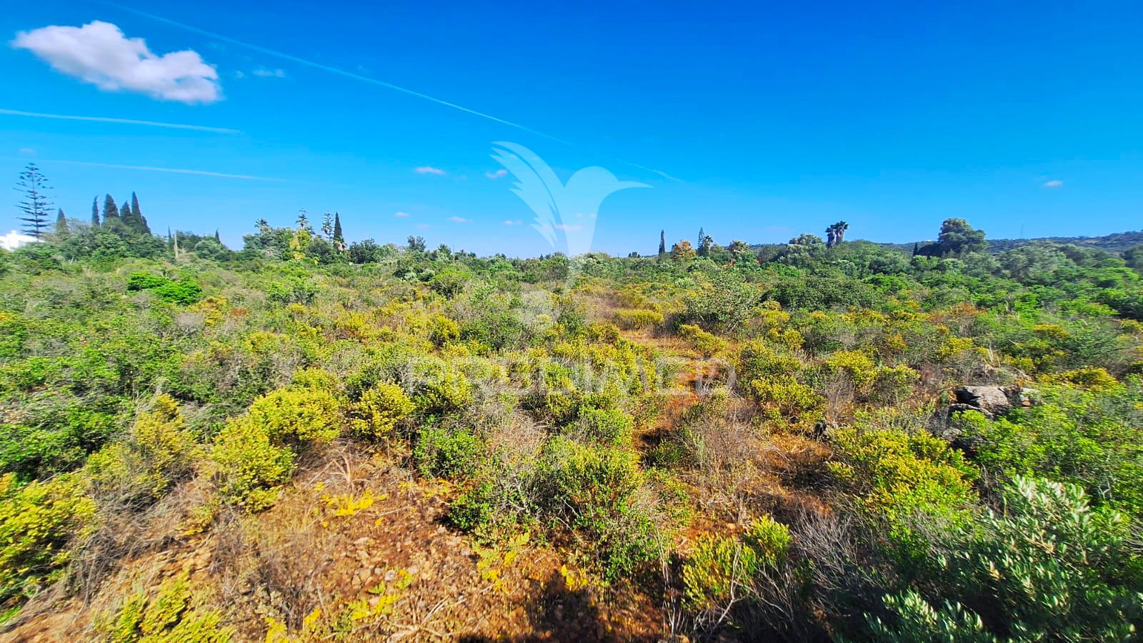 Terreno com 5000 m2 para construção no foral, algoz