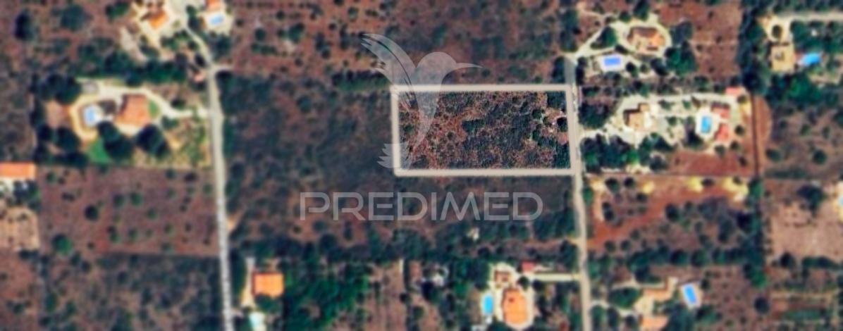 Terreno com 5000 m2 para construção no foral, algoz