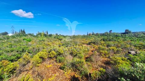 Terreno com 5000 m2 para construção no foral, algoz