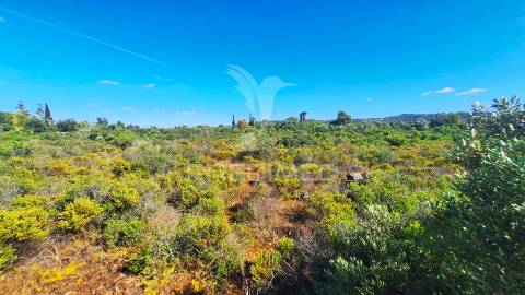 Terreno com 5000 m2 para construção no foral, algoz