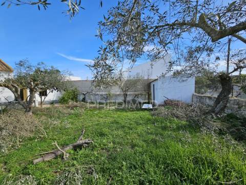 Moradia t3 com quintal e garagem