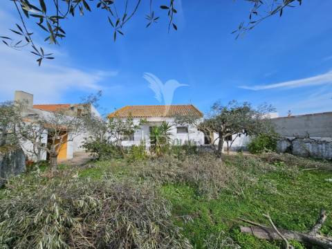 Moradia t3 com quintal e garagem