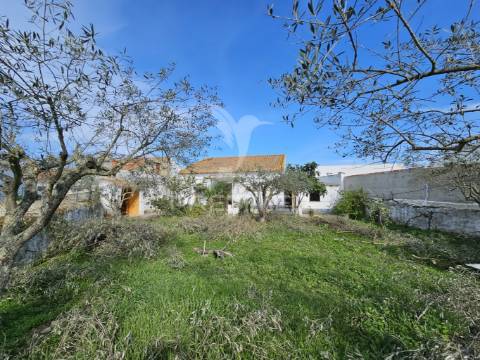 Moradia t3 com quintal e garagem