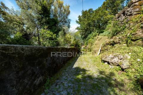 Casa rústica em ruína - bouro(santa maria), amares