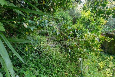 Casa rústica em ruína - bouro(santa maria), amares