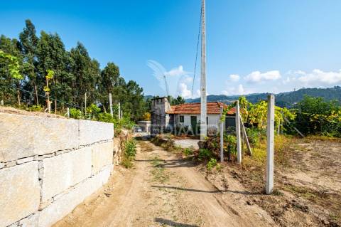 Quinta em castelo de paiva