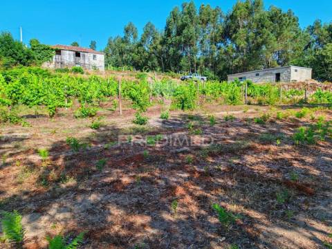 Quinta em castelo de paiva